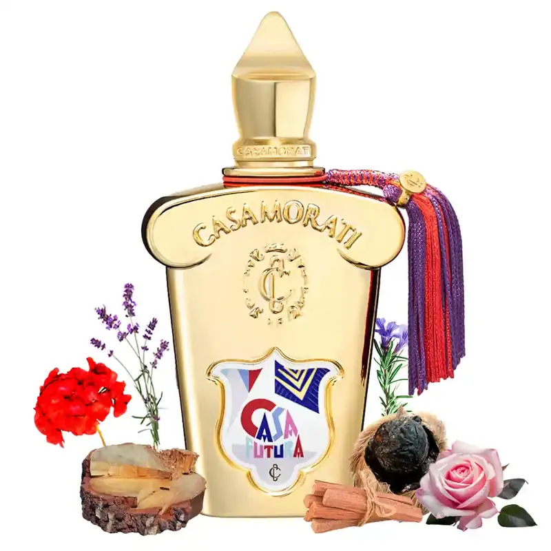 زرجوف کاسافیوچرا (کاسافوتورا)