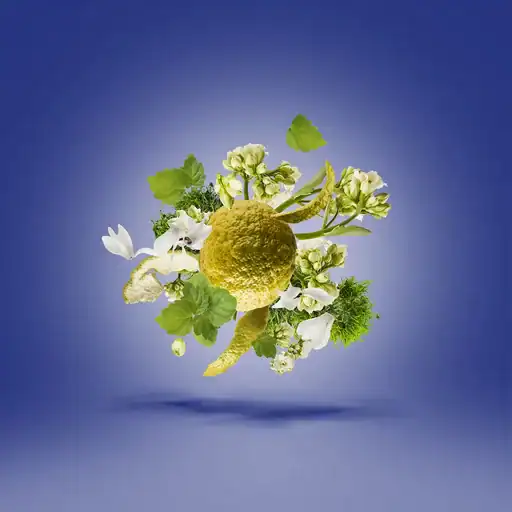 زرجوف تورینو 23