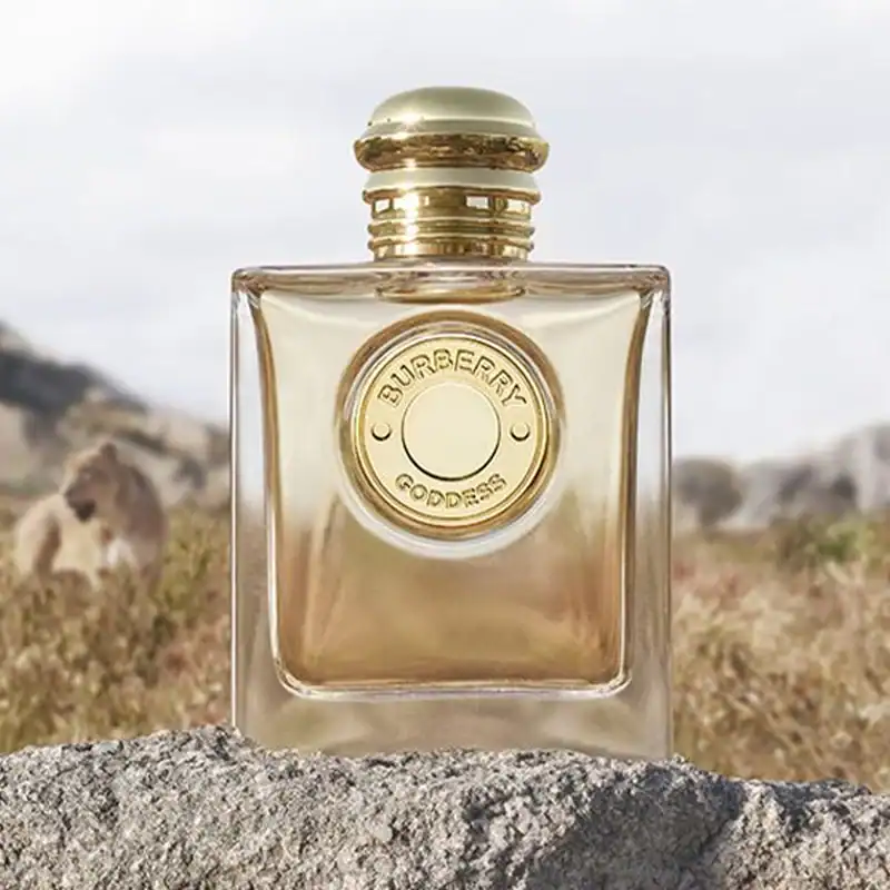 باربری گادس اینتنس