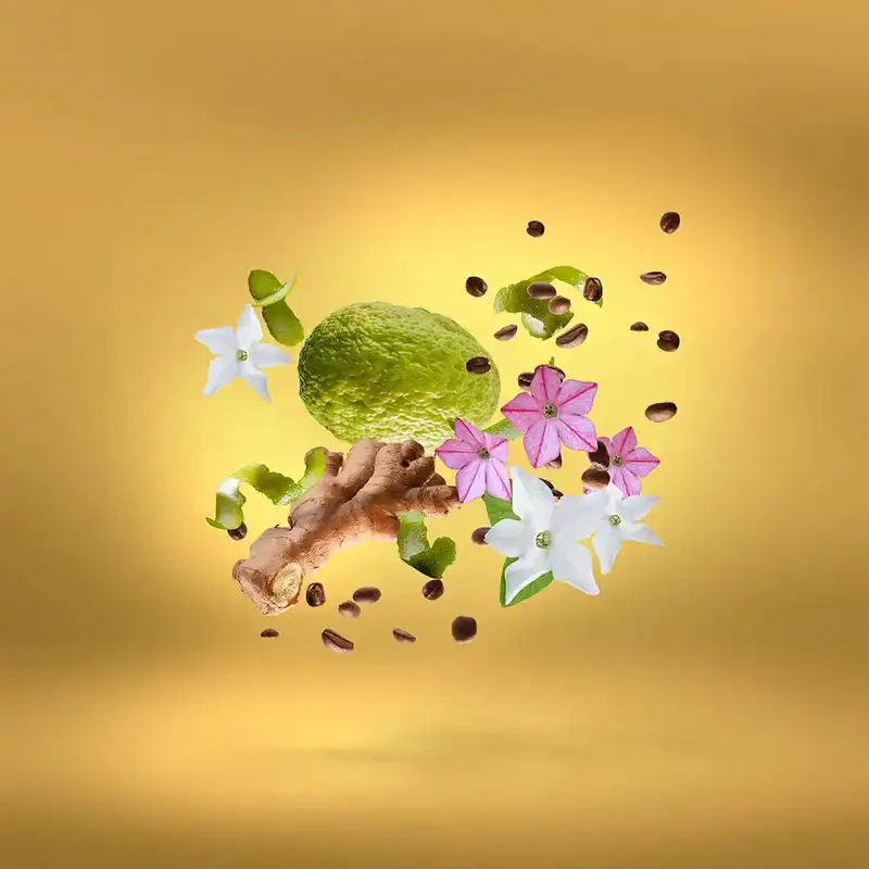 زرجوف عودن اور دوز