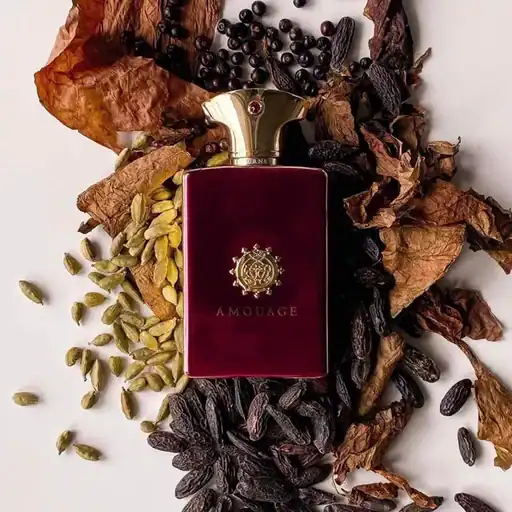 آمواج جورنی مردانه (آمواژ ژورنی)
