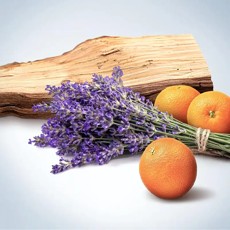 کالوین کلین آبسشن مردانه (سی کی آبسیشن)