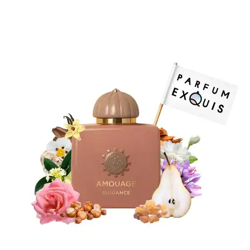 آمواج گایدنس