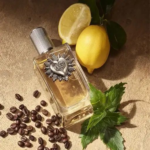 دولچه گابانا دیووشن پور هوم